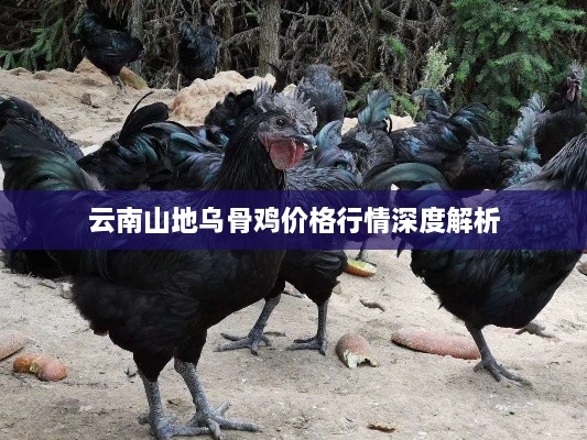 特色功能 第156页