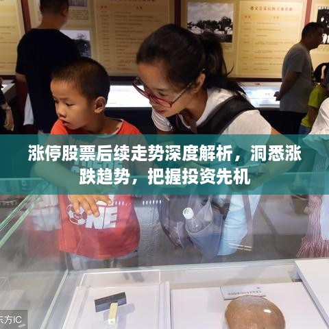 涨停股票后续走势深度解析，洞悉涨跌趋势，把握投资先机