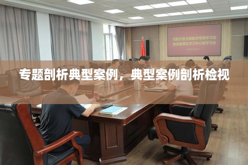 专题剖析典型案例，典型案例剖析检视 