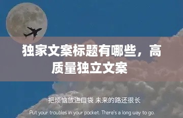 小家碧玉 第2页