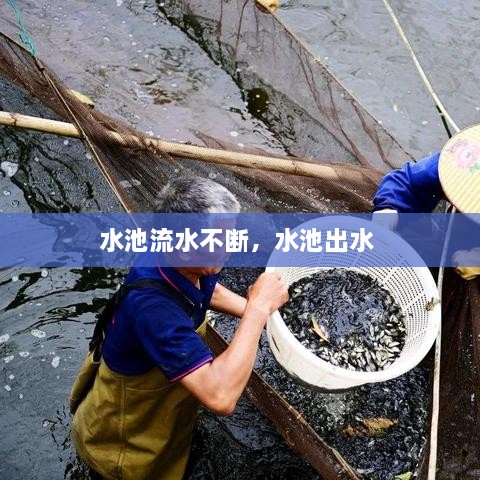 水池流水不断，水池出水 