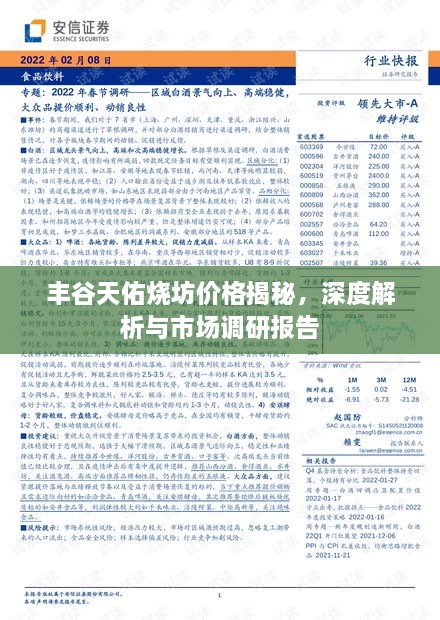 丰谷天佑烧坊价格揭秘，深度解析与市场调研报告