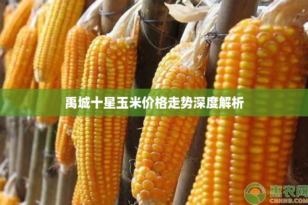 别出新意 第2页