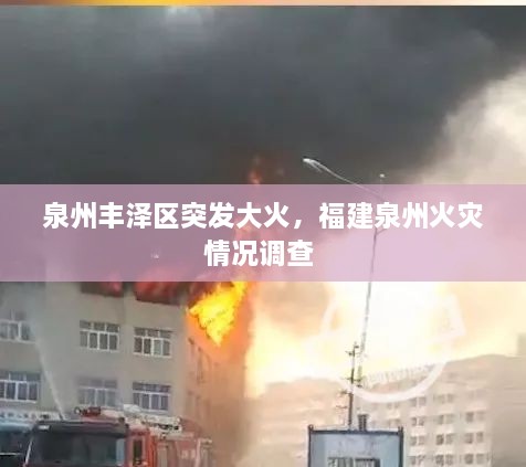 忠心耿耿 第2页
