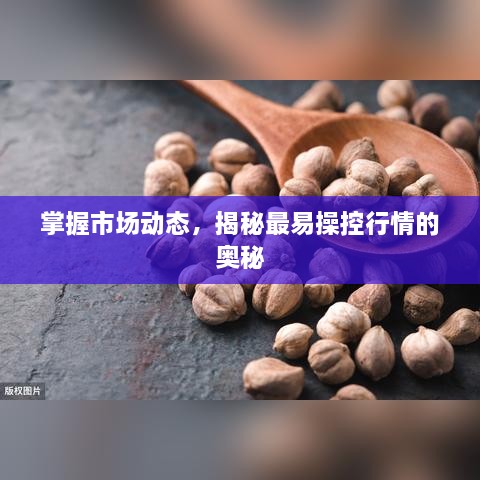 掌握市场动态，揭秘最易操控行情的奥秘