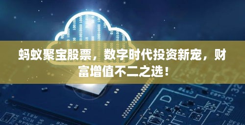 蚂蚁聚宝股票，数字时代投资新宠，财富增值不二之选！