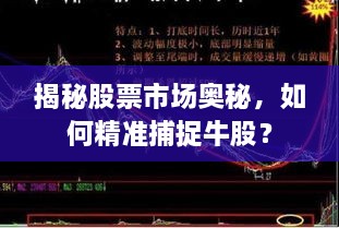 揭秘股票市场奥秘，如何精准捕捉牛股？
