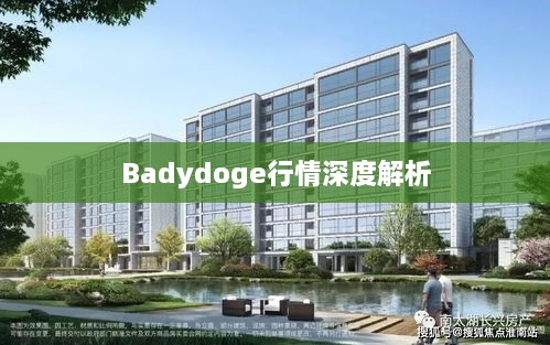 Badydoge行情深度解析