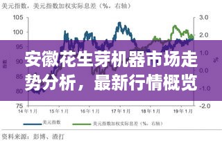 成功案例 第134页