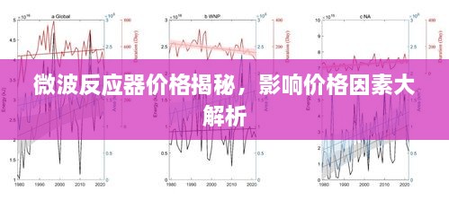 微波反应器价格揭秘，影响价格因素大解析