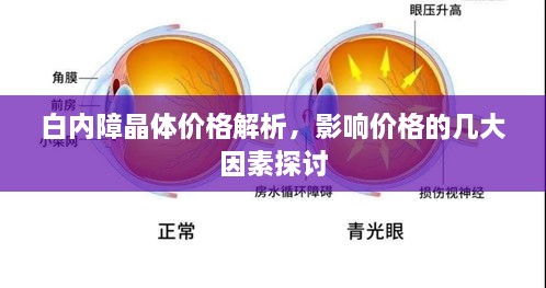 笃新怠旧 第2页