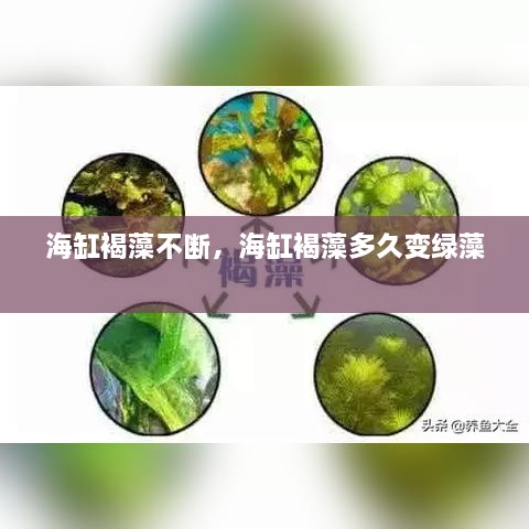 五百强企业 第133页