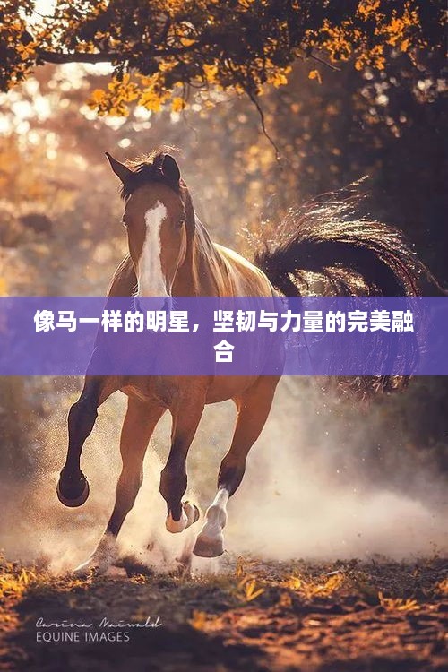 niaorufanlong 第2页