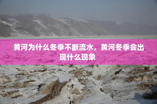 蜎飞蠢动 第2页