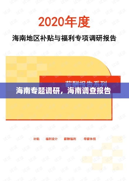 海南专题调研，海南调查报告 