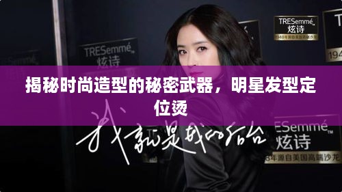 降贵纡尊 第2页