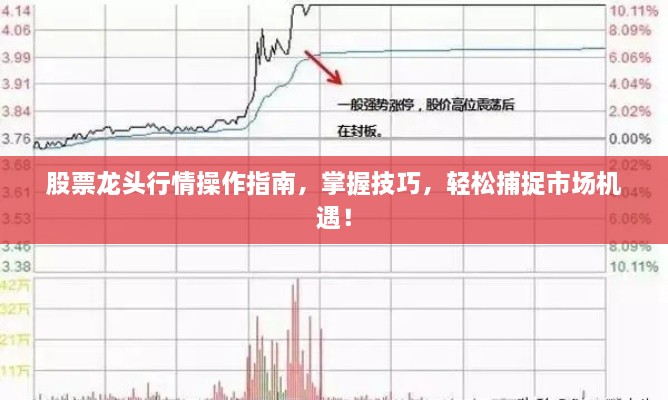 股票龙头行情操作指南，掌握技巧，轻松捕捉市场机遇！