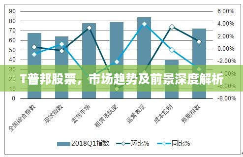 T普邦股票，市场趋势及前景深度解析