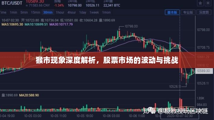 猴市现象深度解析，股票市场的波动与挑战