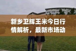 新乡卫辉王米今日行情解析，最新市场动态一网打尽