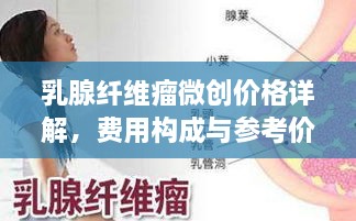 小有成就 第2页