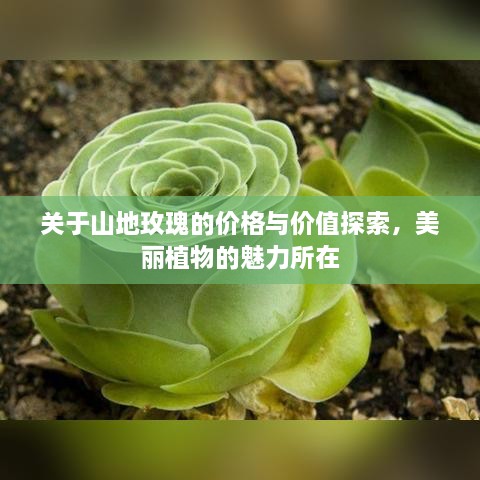 灰飞烟灭 第2页