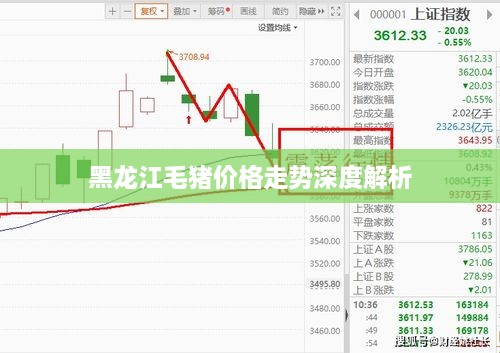 黑龙江毛猪价格走势深度解析