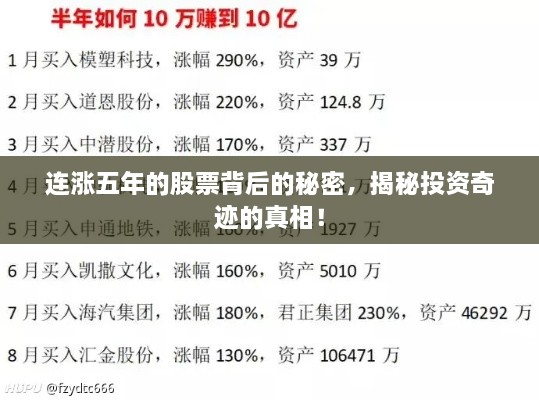 连涨五年的股票背后的秘密，揭秘投资奇迹的真相！