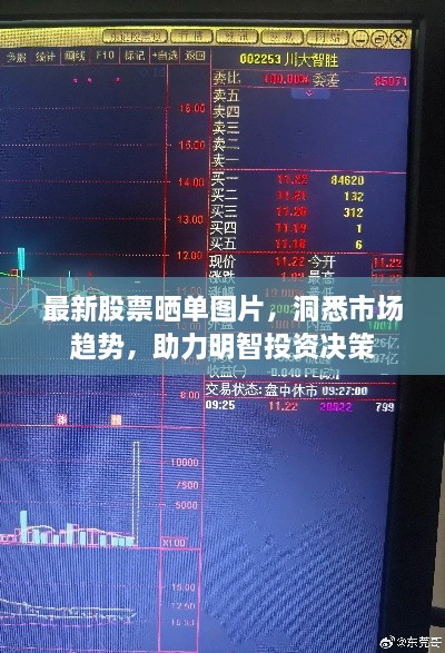 乌鸟之情 第2页
