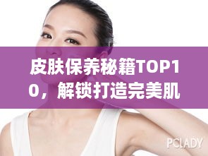 鸿飞雪爪 第2页