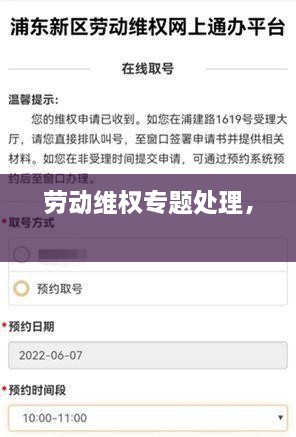 劳动维权专题处理， 