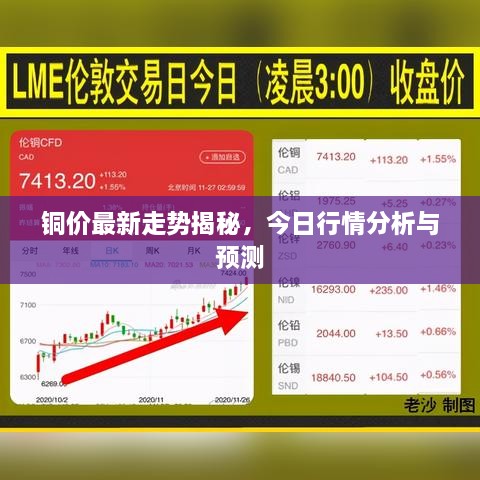 花开无言 第2页