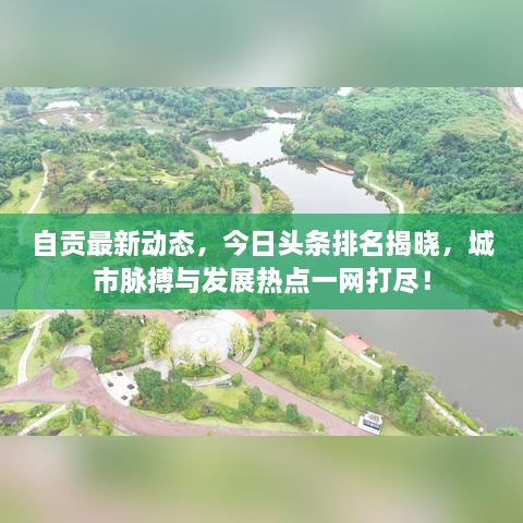 houhuiwuqi 第2页