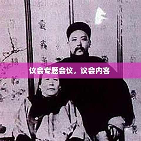 议会专题会议，议会内容 