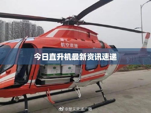 woxinchangdan 第2页