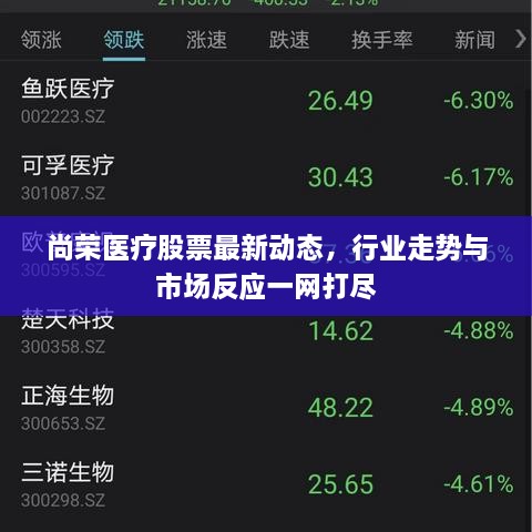 尚荣医疗股票最新动态，行业走势与市场反应一网打尽