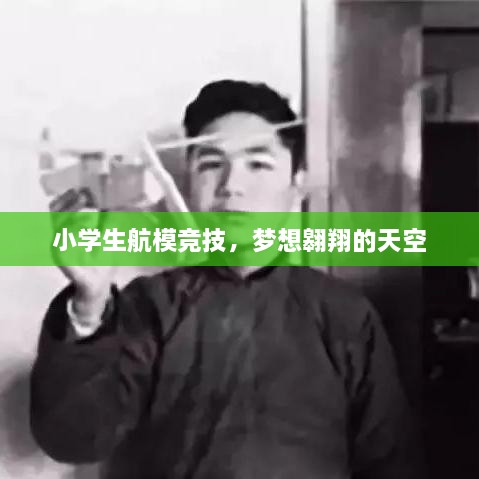 小学生航模竞技，梦想翱翔的天空
