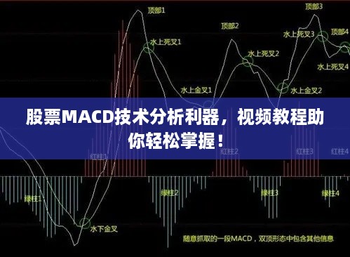 贵冠履轻头足 第2页