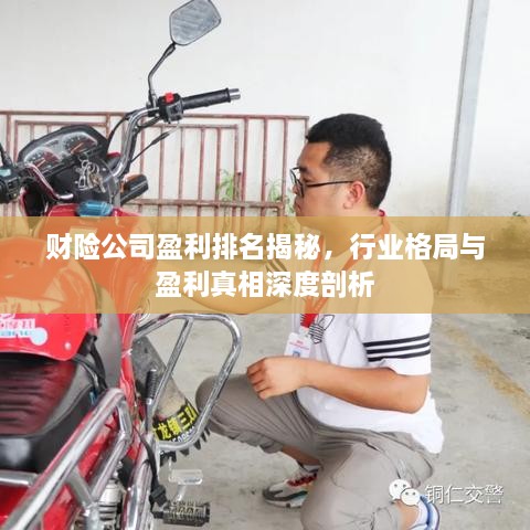 财险公司盈利排名揭秘，行业格局与盈利真相深度剖析