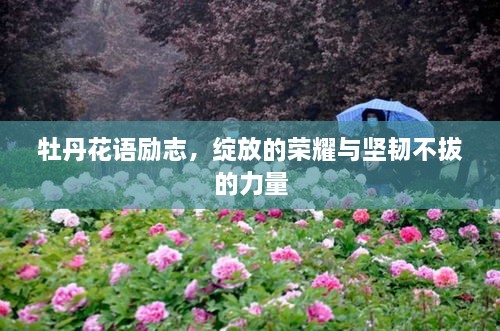 牡丹花语励志，绽放的荣耀与坚韧不拔的力量