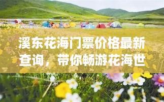 溪东花海门票价格最新查询，带你畅游花海世界！