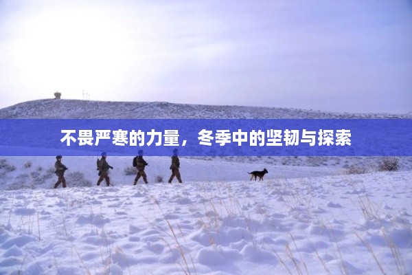 不畏严寒的力量，冬季中的坚韧与探索