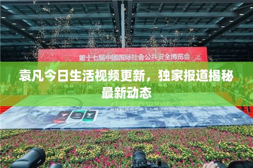 袁凡今日生活视频更新，独家报道揭秘最新动态