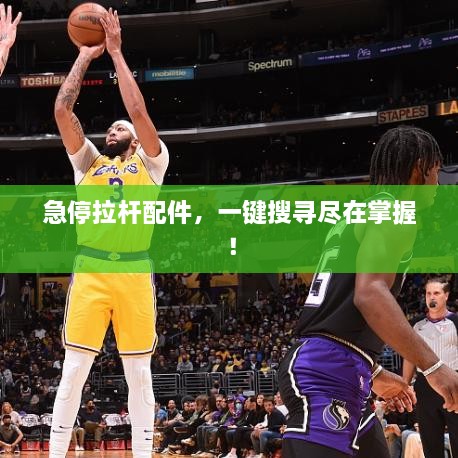 淡泊以明志，宁静以致远