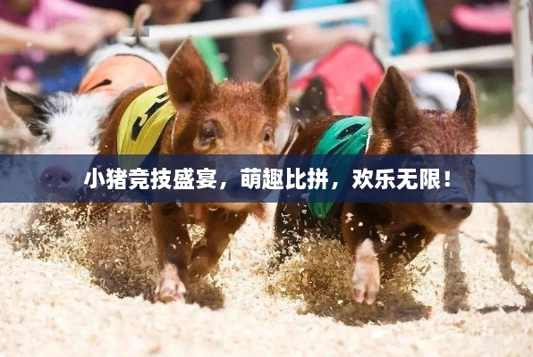 特色功能 第47页