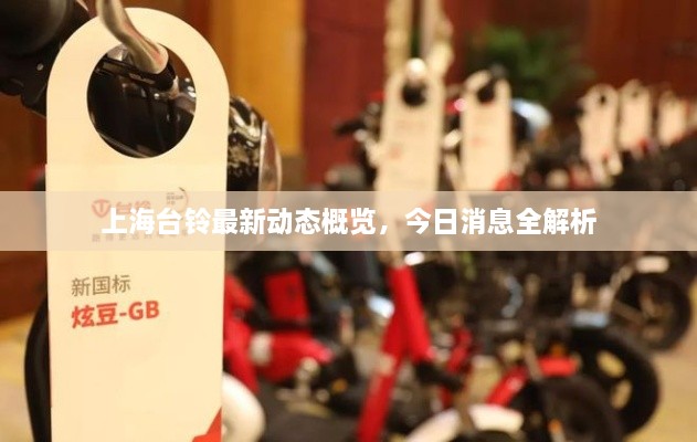五百强企业 第41页