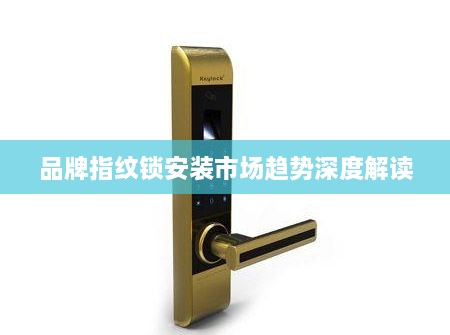品牌指纹锁安装市场趋势深度解读