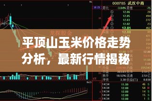 平顶山玉米价格走势分析，最新行情揭秘