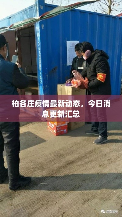 五百强企业 第36页
