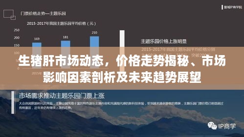 生猪肝市场动态，价格走势揭秘、市场影响因素剖析及未来趋势展望